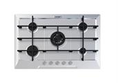 P. COTT. 5 GAS INC. INOX 760X500 KF FOSTER